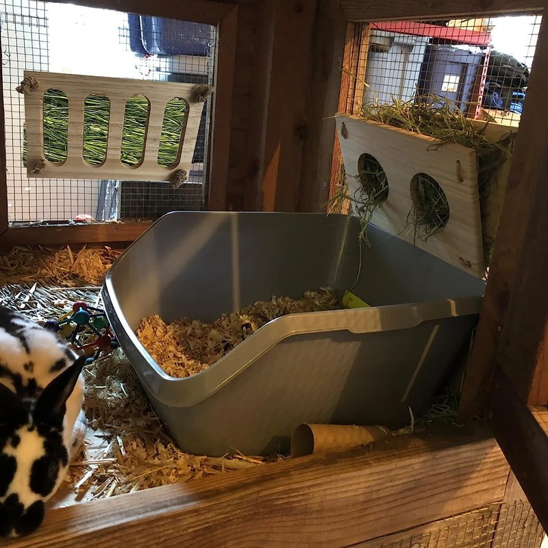 Rabbit Rabbits Meadow Container Hay Rack Food Bowl Rabbits Timothy