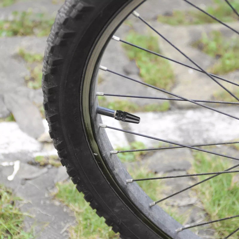 Octoder Bike Valve Core Removal Tool Kit with Brass Replacement