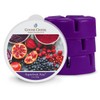 Goose Creek Wax Melt Pack Super Fruit Acai, Purple, 8