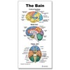 The Colorful Brain Mini Poster with X Stand