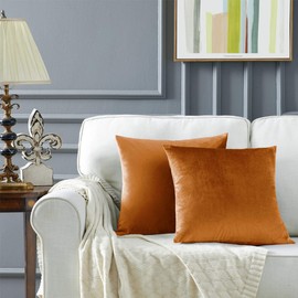 GIGIZAZA Cushion Covers, Cushion Cover Pack of 2 Velvet Decorative Throw Pillow Covers Cases Set Pillow Case for Sofa Bedroom and Car