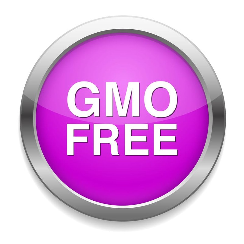 David's Garden Seeds Flower Native American Milkweed Butterfly 200 Non-GMO,