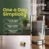 Moringa Capsules – 3 Month Supply – High Strength 50:1