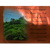 Malaysia Aik Cheong Old Town Instant ( 3 in 1)