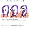 Carabiner 12KN Auto-Lock BRAVESHINE Load Capacity 2,645 lbs (1,200 kg)