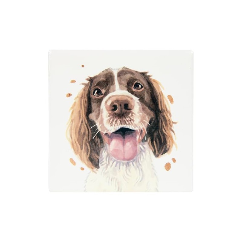Lesser & Pavey Springer Spaniel Coaster Robert James Hull For