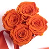 ROSEMARIE SCHULZ Heidelberg Rose Box Individual with Desired Text Infinity