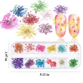 EBANKU 132PCS 3D Dried Flowers Nail Art , 3 Boxes Colorful Dried Gypsophila Daisy Hydrangea Flowers Nail Art Stickers Decoration and 1 tip tweezers, for Women Girls 3D Nail Design Decoration and Resin DIY