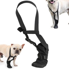ETIAL Dog Recovery Boot, Windproof Dog Bootie with Adjustable Neck Strap, Anti Slip Dog Shoe to Prevent Licking Paws, Breathable Dog Paw Protector for Outdoor & Indoor Walking (S)