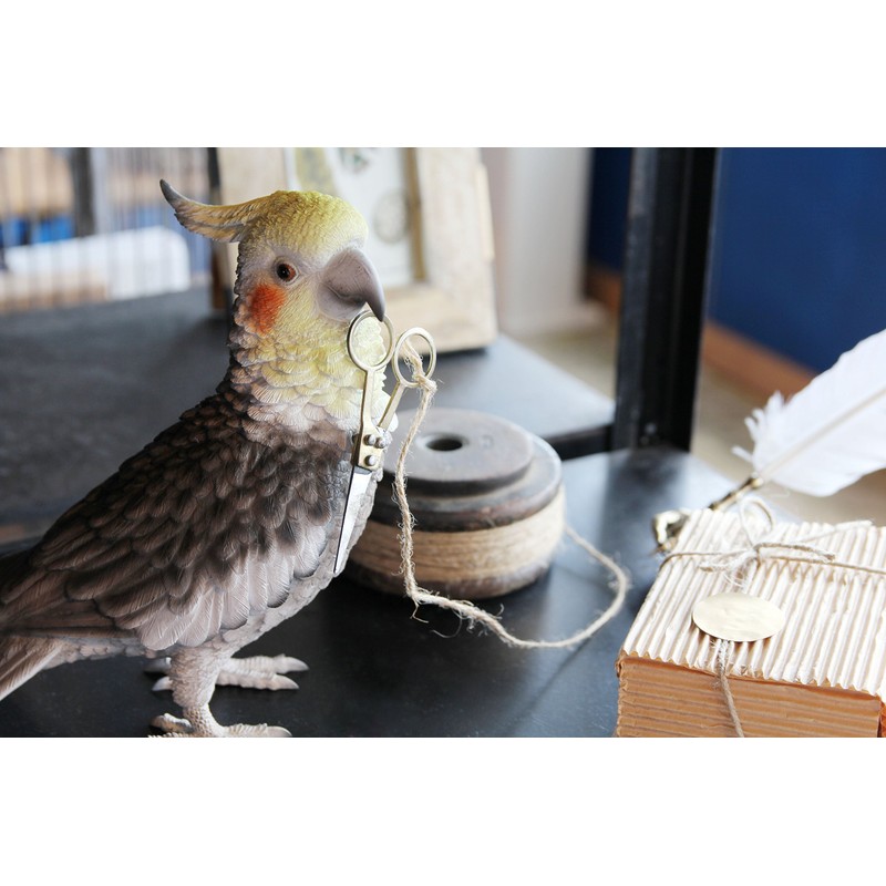 Birdie Bill Realistic Bird Hard Type Toy Doll Figure (Cockatiel)
