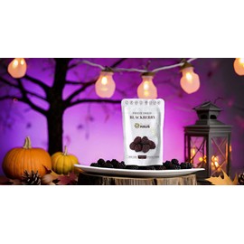 The Snack Haus Freeze-Dried Blackberries 0.88 Oz | All-Natural, No Preservatives | Nutrient-Rich, High Fiber Snack | Perfect for Yogurt, Granola, or On-The-Go! (Pack of 2)