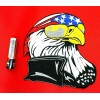 American Eagle With Sunglasses & Bandana Iron On Sew On