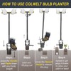 Colwelt Bulb Planter Tool Long Handle, Serrated Base Gardening Bulb