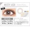 【新色】エバーカラーワンデー・ルクアージュ 10枚(ミスティアッシュ)(度数：-6.00)