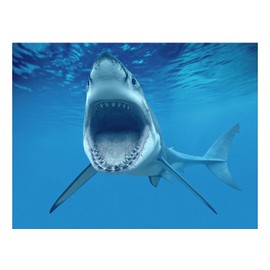 1/4 Sheet ~ Shark Attacking Birthday ~ Edible Cake/Cupcake Topper By Art of Eric Gunty - d3888