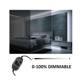 Lucienstar LED Neon Rope Lights, 32.8Ft Cool White Led Strip Light Set, with 24V Power Adapter, IP67 Waterproof, Flexible DIY, Silicone Dimmable Neon Strip Light for Bedroom, Indoor, Outdoor