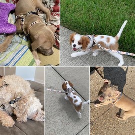 BINGPET Dog Harness, Collar, Leash Set, Dog Harness, Easy to Put on and Take off, Mesh, Breathable, Durable, Adjustable, Lightweight, Pull Prevention, Walks, Training, Vest, Training, Checkered