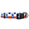 Native Pup Texas State Flag Dog Collar