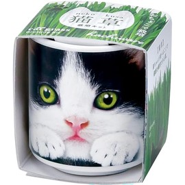 Seishin Pottery GD-102902 All Year Round Home Garden Cultivation Kit, "Grow Cat Grass" Mini, Easy, Relaxed, Herb Cultivation Set, Black, Mother's Day, Birthday Gift, Pot Diameter Approx. 1.6 inches (4 cm), Made in Japan