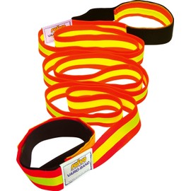 'Reivo Band "Plus, 13 M