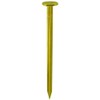 Daido Hunt HP Brass Nails, Flat 0.7 x 1.2 inches