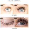 Daislashes Magical Premium Brow y Eyelash Growth Serum, Lash Enhancer