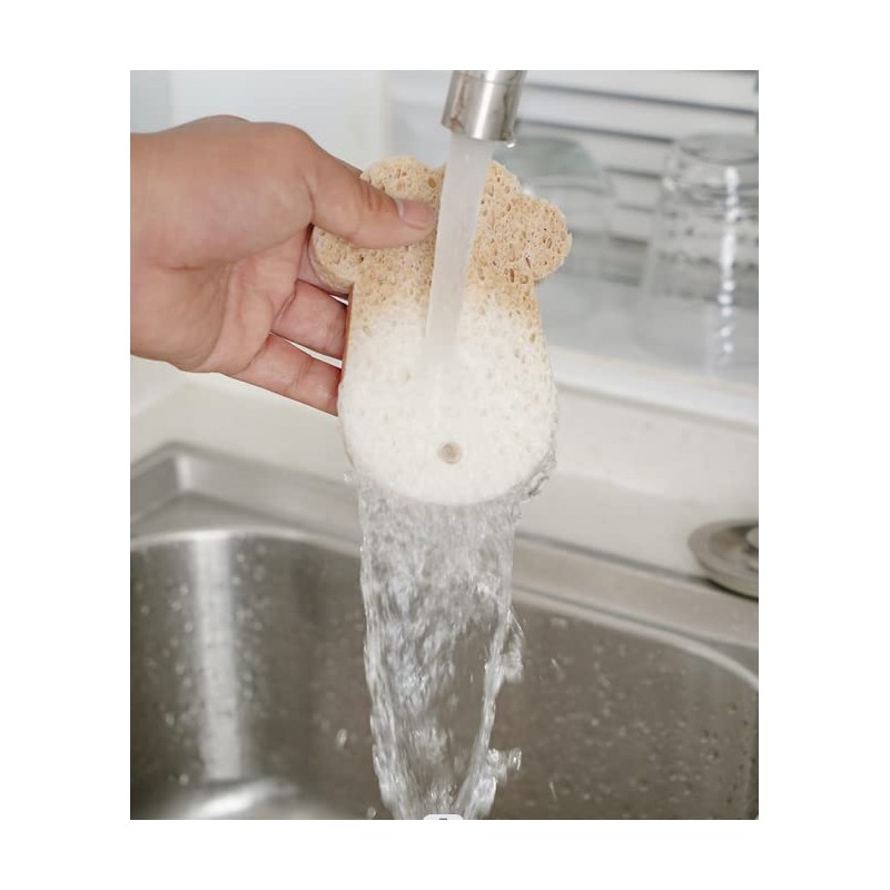 Ctpeng Kitchen Reusable Dish Cleaning Sponge Scrub Set of 2