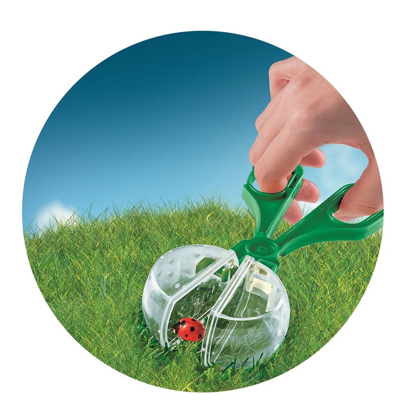 The House of Insects