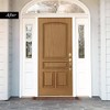 Giani Wood Look Paint Kit for Front & Interior Doors