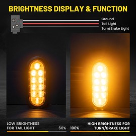 Oyviny 6 Inch 10 LEDs Oval Amber Trailer Tail Lights W/Light Wiring 2PCS, Super Bright 6" LED Parking Turn Signal Lights with Flush Mount Grommets for RV Truck, Bus, Trucks,Marine