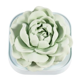 YZIVTAOTIE Passive Diffusers for Essential Oils, Jasmine Scented - Pre-Scented, No Oil Needed, Decorative Stone Essential Oil Diffuser for Home, Office or Car, and Gift-Giving