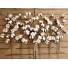 idyllic Cotton Stems Decor Branches, Cotton Flowers Plants for Decorations,