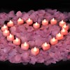 Amagic 4000 Pieces Pink Artificial Rose Petals with 50 Pink