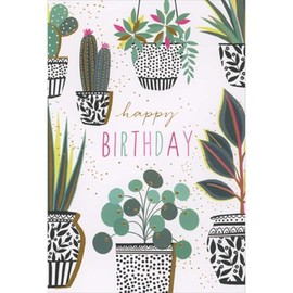 Pictura Succulent Plants in Black and White Pots with Gold Foil Accents Birthday Card