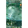 Vitamina 100 Tabletas 500 Protegete Sistema Inmune Antioxidante