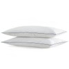 SILUI Flat Soft Thin Pillows Standard Size Set of 2