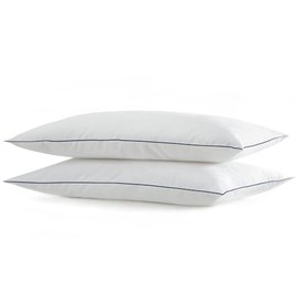 SILUI Flat Soft Thin Pillows Standard Size Set of 2 Pack Bed Pillow with Down Alternative Fill for Side Back Stomach Sleepers, 20x26 Inches, White