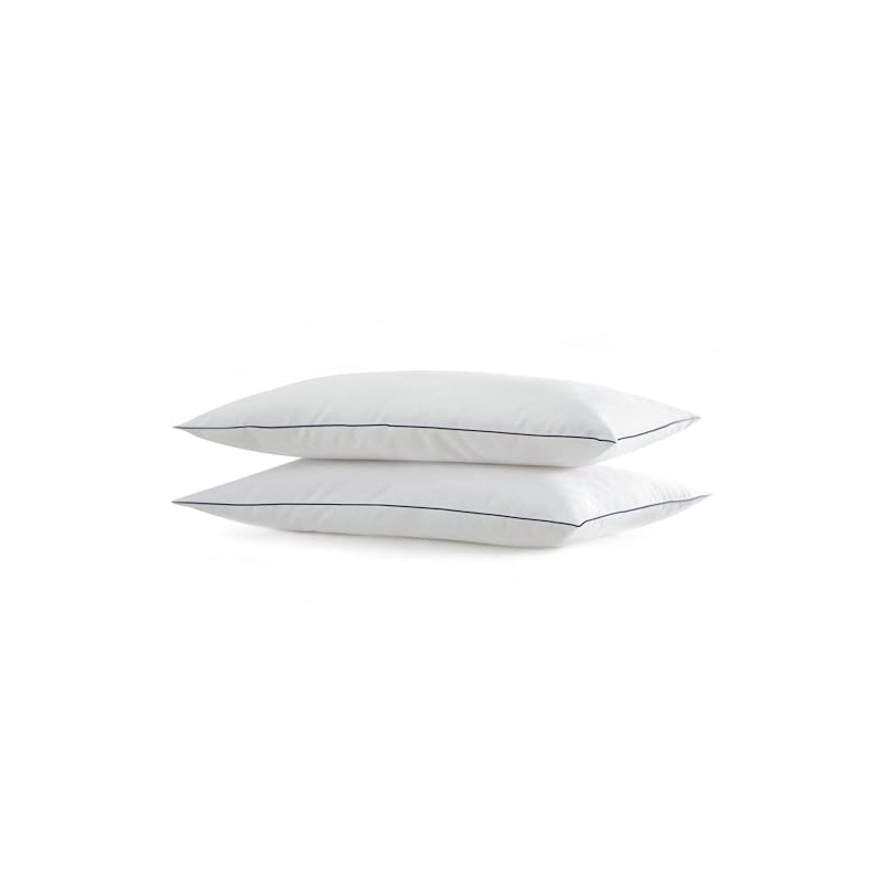 SILUI Flat Soft Thin Pillows Standard Size Set of 2