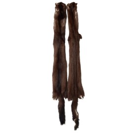 DakotaLine Furs Female Wild American Mink : Medium Grade - Genuine Real Fur Pelt/Hide, Tanned for Sewing, Display, Decoration, Garnment, and Crafting - 25" Length Average