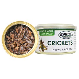 Canned Crickets (1.2 oz.) - Healthy High Protein Insect Treat - Hedgehogs, Sugar Gliders, Reptiles, Wild Birds, Chickens, Lizards, Bearded Dragons, Skunks, Opossums, Fish, Amphibians, Turtles