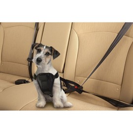 Pet Seat Belt Harness - Medium