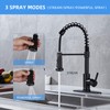 Faucet for Kitchen Sink, Black Kitchen Faucet with Pull Down