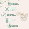 Micro Ingredients Mega Probiotics 200 Billion CFU, 120 Veggie Capsules