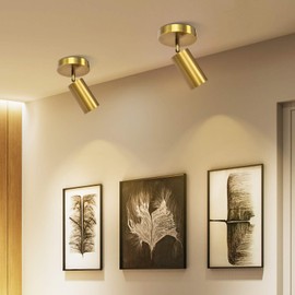 Track Lighting Ceiling Spotlight, Zicbol Gold Ceiling Light Fixture, Gu10 Ceiling Spotlights Indoor Angle Adjustment Modern Wall Lamp for Living Room, Gallery, Cabinet, Hallway, Bedroom 2 Packs