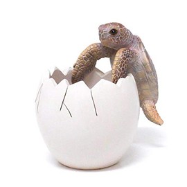 Magnetic Pen Stand BOB UP STAND TURTLE 57686