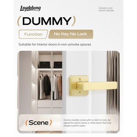 Leydebong 4 Pack Door Lever Dummy Lever Door Handle for Closets French Doors,Square Dummy Door Lever,Non-Turning Single Side Pull with Gold Finish