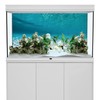 AWERT 48x24 inches Undersea Aquarium Background Pool Ocean Floor Aquarium