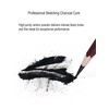 Professional Drawing Charcoal Pencils Set, 10 Piece Art Supplies with