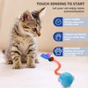 Kavsgdow Interactive Cat Toys Ball for Indoor, Cat Toys Interactive,