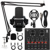 LUVUMVLT Podcast Equipment Bundle, V8 Audio Interface with Cardioid Designer